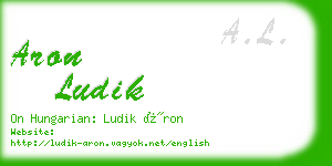 aron ludik business card